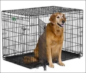 Midwest iCrate Folding Large Metal Dog Crate