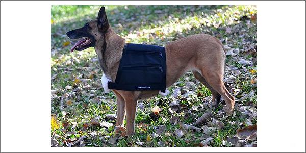 leerburg weighted dog vest